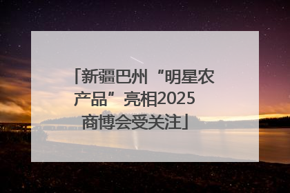 新疆巴州“明星农产品”亮相2025商博会受关注