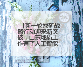 新一轮找矿战略行动迎来新突破，山东地质工作有了人工智能方案