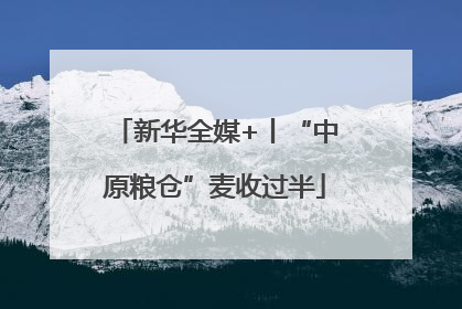 新华全媒+丨“中原粮仓”麦收过半