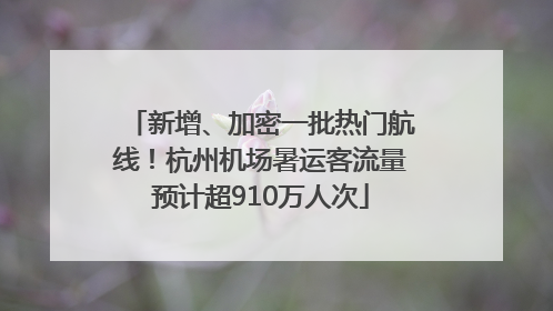 新增、加密一批热门航线！杭州机场暑运客流量预计超910万人次