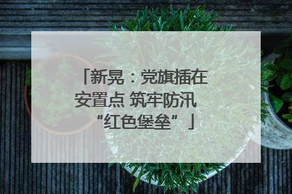 新晃：党旗插在安置点 筑牢防汛“红色堡垒”