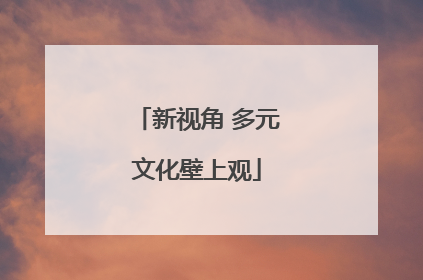 新视角 多元文化壁上观
