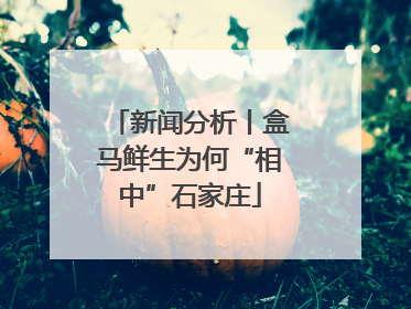 新闻分析丨盒马鲜生为何“相中”石家庄
