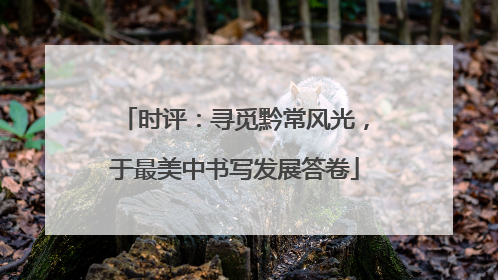 时评：寻觅黔常风光，于最美中书写发展答卷
