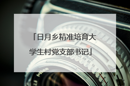 日月乡精准培育大学生村党支部书记