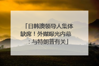 日韩澳领导人集体缺席！外媒曝光内幕：与特朗普有关