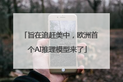 旨在追赶美中，欧洲首个AI推理模型来了