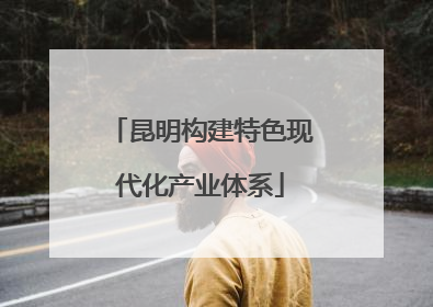 昆明构建特色现代化产业体系