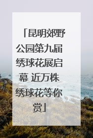 昆明郊野公园第九届绣球花展启幕 近万株绣球花等你赏
