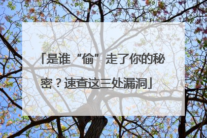 是谁“偷”走了你的秘密？速查这三处漏洞