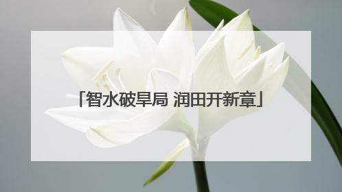 智水破旱局 润田开新章