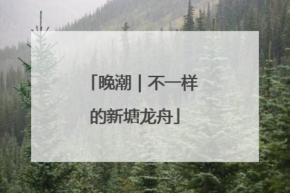 晚潮｜不一样的新塘龙舟