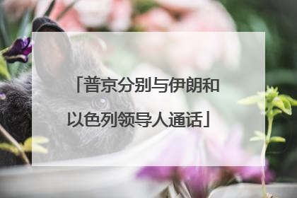 普京分别与伊朗和以色列领导人通话