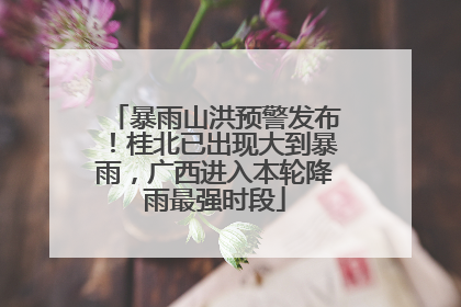 暴雨山洪预警发布！桂北已出现大到暴雨，广西进入本轮降雨最强时段