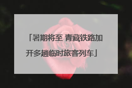 暑期将至 青藏铁路加开多趟临时旅客列车