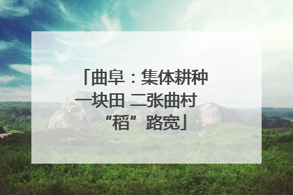 曲阜：集体耕种一块田 二张曲村“稻”路宽