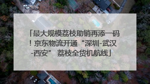 最大规模荔枝助销再添一码！京东物流开通“深圳-武汉-西安” 荔枝全货机航线