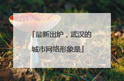 最新出炉，武汉的城市网络形象是