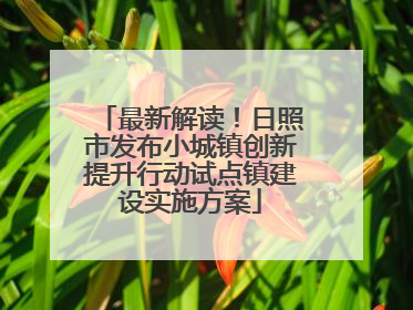 最新解读！日照市发布小城镇创新提升行动试点镇建设实施方案