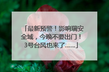 最新预警！影响瑞安全域，今晚不要出门！3号台风也来了……