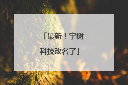 最新！宇树科技改名了