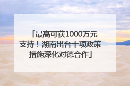 最高可获1000万元支持！湖南出台十项政策措施深化对德合作