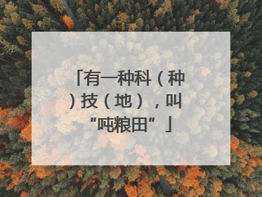 有一种科（种）技（地），叫“吨粮田”