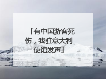 有中国游客死伤，我驻意大利使馆发声