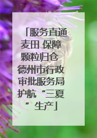 服务直通麦田 保障颗粒归仓 德州市行政审批服务局护航“三夏”生产