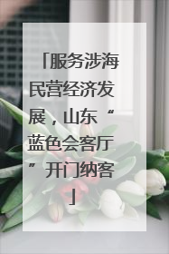 服务涉海民营经济发展，山东“蓝色会客厅”开门纳客