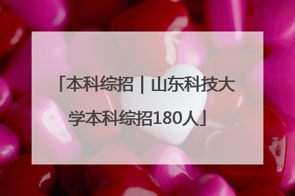 本科综招｜山东科技大学本科综招180人