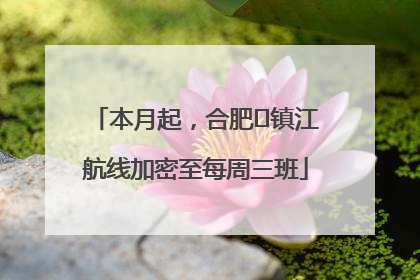 本月起，合肥⇋镇江航线加密至每周三班