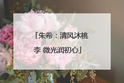 朱希：清风沐桃李 微光润初心