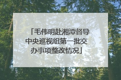 毛伟明赴湘潭督导中央巡视组第一批交办事项整改情况