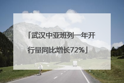 武汉中亚班列一年开行量同比增长72%