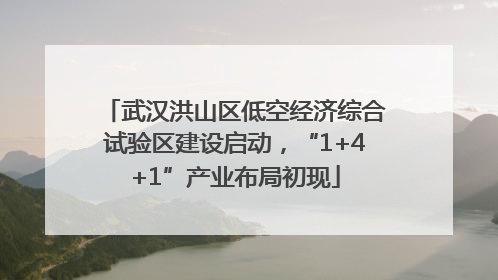 武汉洪山区低空经济综合试验区建设启动，“1+4+1”产业布局初现