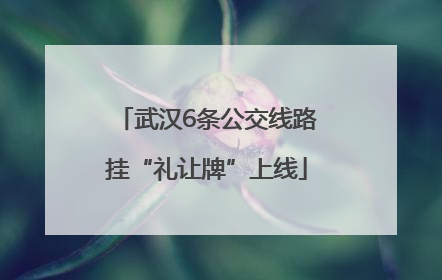 武汉6条公交线路挂“礼让牌”上线