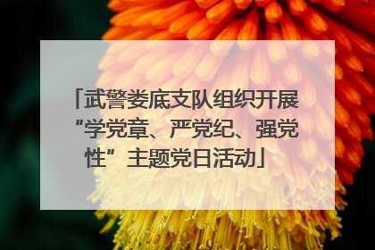 武警娄底支队组织开展“学党章、严党纪、强党性”主题党日活动