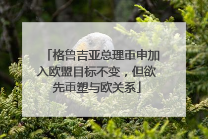 格鲁吉亚总理重申加入欧盟目标不变，但欲先重塑与欧关系