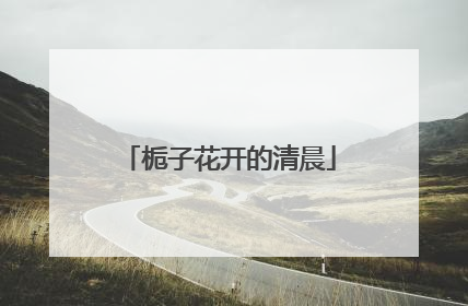 栀子花开的清晨