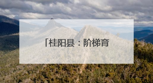 桂阳县：阶梯育德 礼润童心