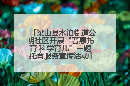 梁山县水泊街道公明社区开展“普惠托育 科学育儿”主题托育服务宣传活动