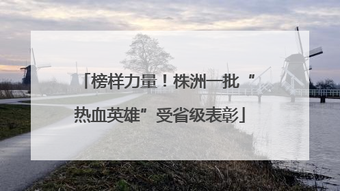 榜样力量！株洲一批“热血英雄”受省级表彰