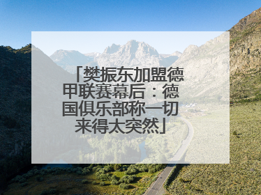 樊振东加盟德甲联赛幕后：德国俱乐部称一切来得太突然