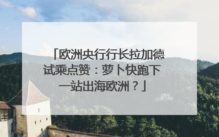 欧洲央行行长拉加德试乘点赞：萝卜快跑下一站出海欧洲？