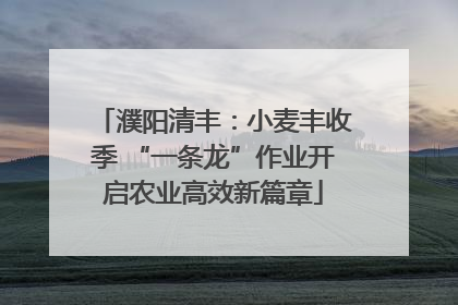 濮阳清丰：小麦丰收季 “一条龙”作业开启农业高效新篇章