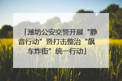 潍坊公安交警开展“静音行动”暨打击整治“飙车炸街”统一行动