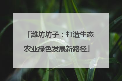 潍坊坊子：打造生态农业绿色发展新路径