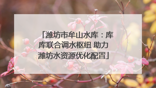 潍坊市牟山水库：库库联合调水枢纽 助力潍坊水资源优化配置