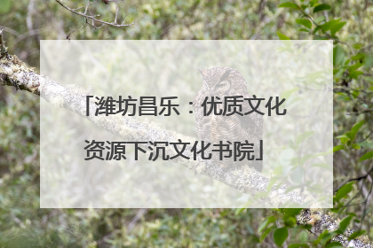 潍坊昌乐：优质文化资源下沉文化书院